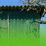 Best Garden Sheds for Irish Weather: What to Look For