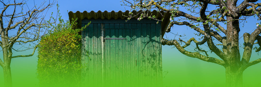 Best Garden Sheds for Irish Weather: What to Look For