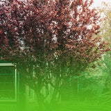 Where Should Homeowners Place a Garden Gazebo in Ireland?