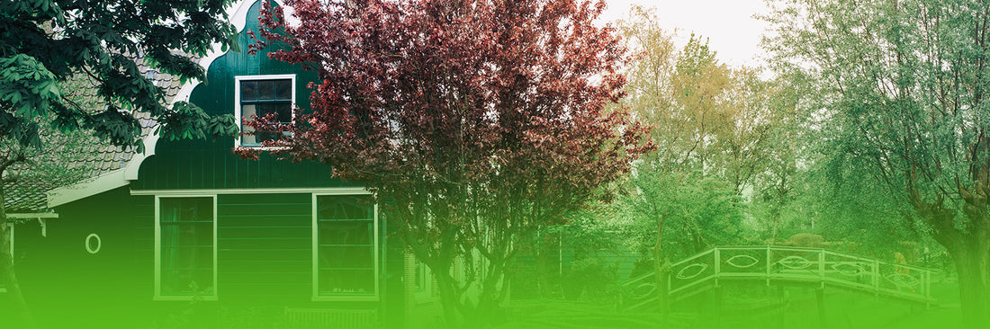 Where Should Homeowners Place a Garden Gazebo in Ireland?